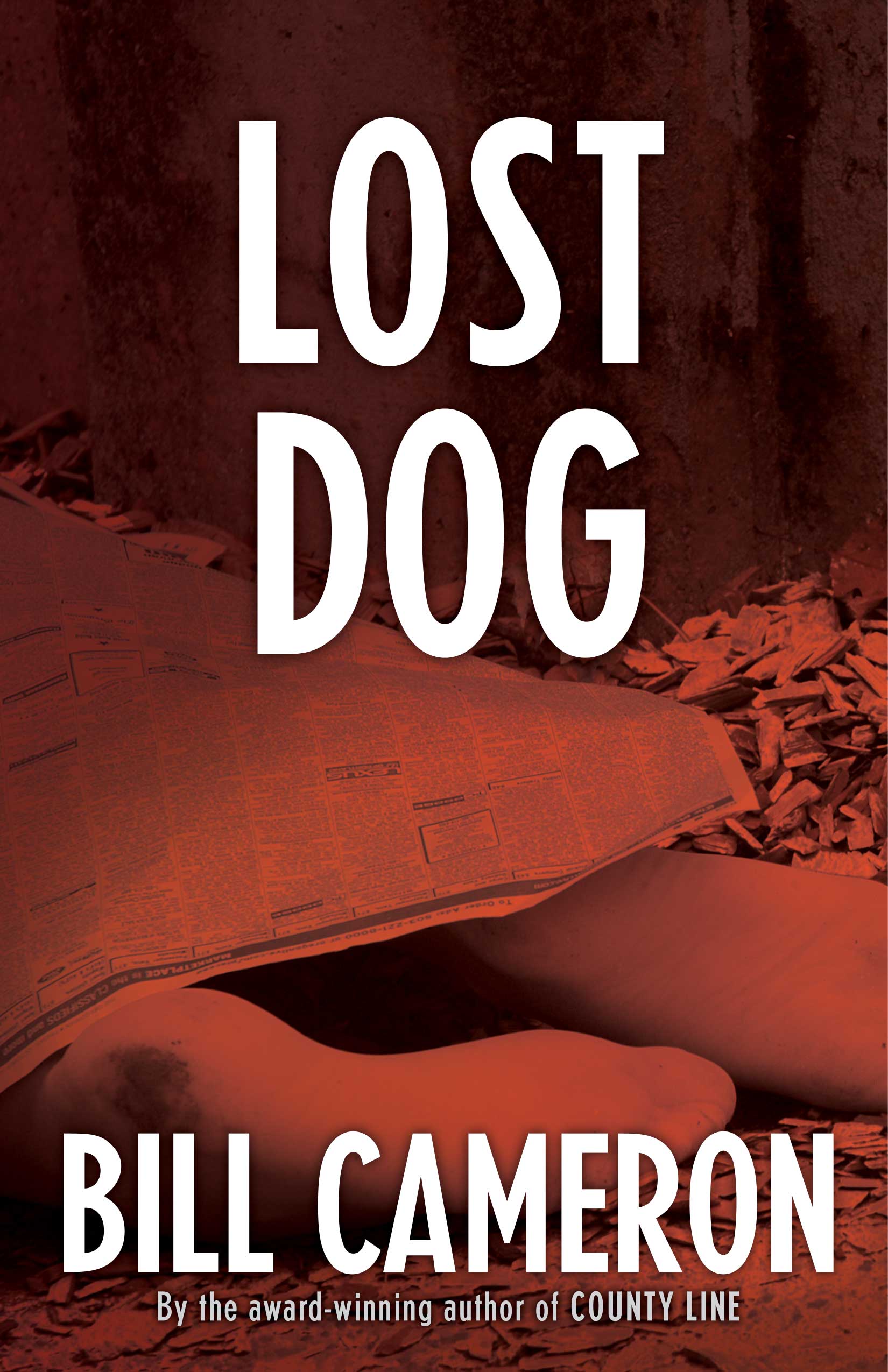 File:Lost dog large.jpg